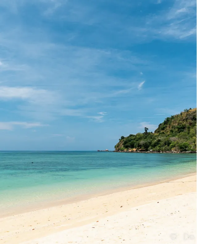 หาดพาราไดซ์