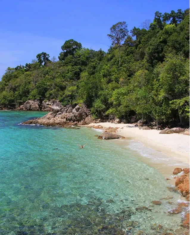 ชายหาดอันแสนลับ